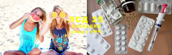 ПСИЛОЦИБИНОВЫЕ ГРИБЫ Алексин