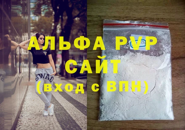 СК Зерноград
