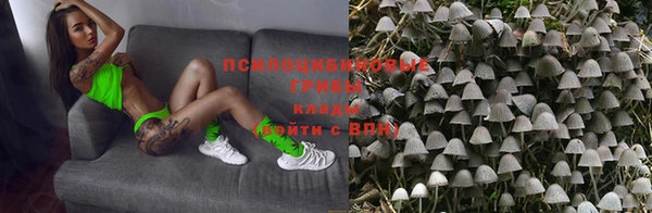 ПСИЛОЦИБИНОВЫЕ ГРИБЫ Алексин