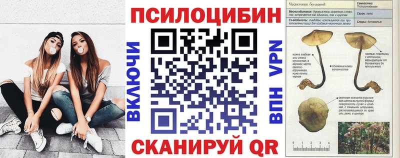 купить закладку Цивильск дарк нет как зайти Псилоцибиновые грибы Magic Shrooms